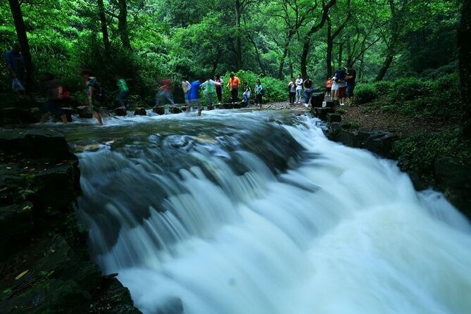 Half-Day Hangzhou Jiuxi Stream and Tea Plantation Experience - A cool walk through Jiuxi 18 Stream