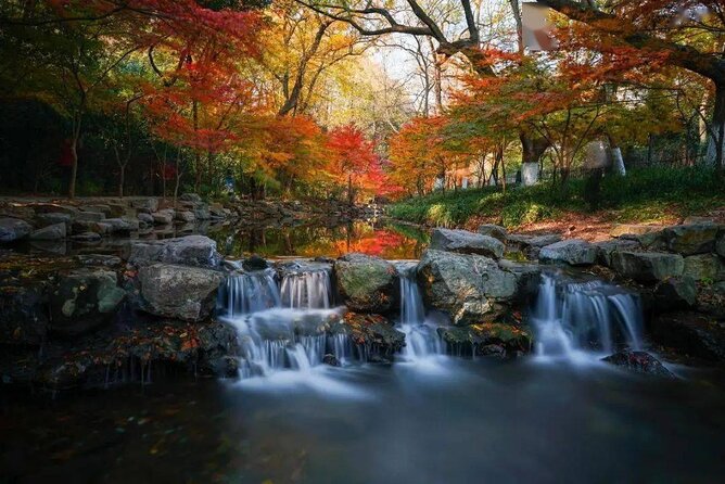 Half-Day Hangzhou Jiuxi Stream and Tea Plantation Experience - What the guide adds to the walk