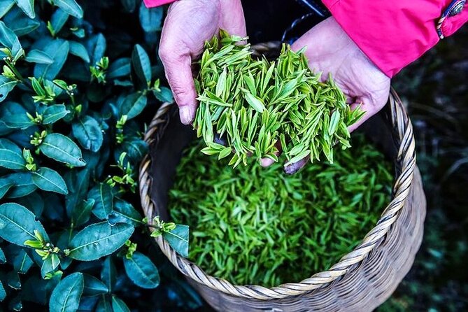 Half-Day Hangzhou Jiuxi Stream and Tea Plantation Experience - How authentic is the rural experience?