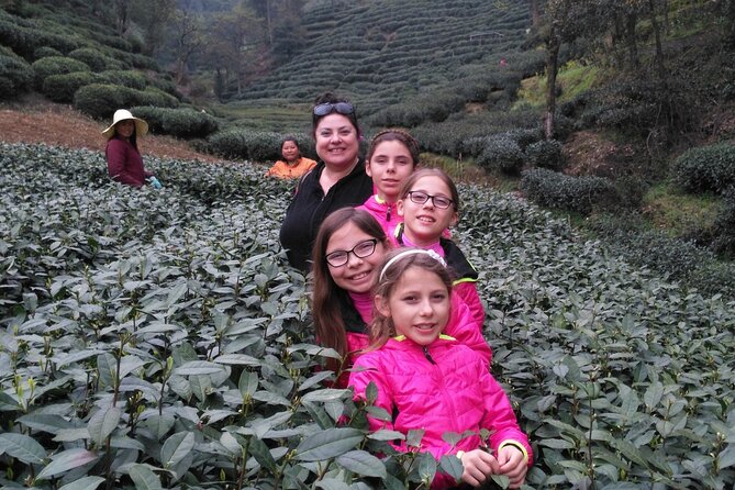 Half-Day Hangzhou Jiuxi Stream and Tea Plantation Experience - Who will get the most from this tour?