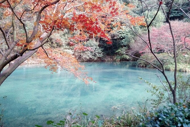 Half-Day Hangzhou Jiuxi Stream and Tea Plantation Experience - Price, cancellation, and practical planning