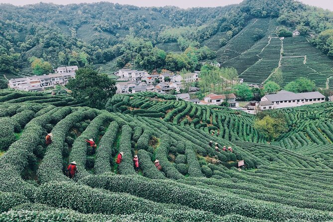 Half-Day Hangzhou Jiuxi Stream and Tea Plantation Experience - Tea tasting and a farmer’s-house meal