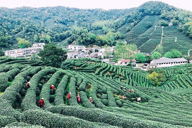 Half-Day Hangzhou Private Tour with Green Tea Village and Lingyin Temple - What the $121 price means
