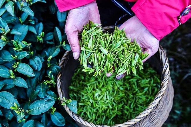 Half-Day Hangzhou Private Tour with Green Tea Village and Lingyin Temple - Feilai Peak and its stone Buddhist carvings