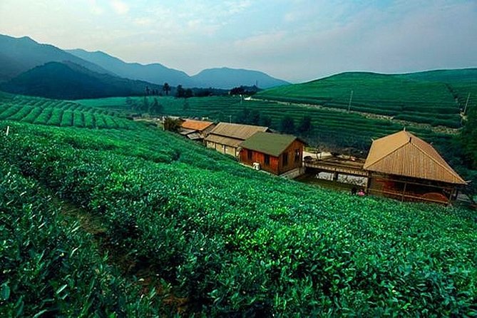 Half-Day Hangzhou Tianzhu Buddhist Mountain Hiking Tour with Green Tea Village - Key points to know before booking