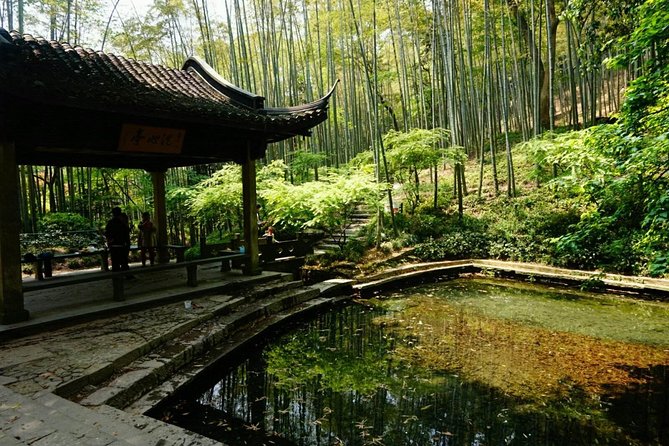 Half-Day Hangzhou Yunxi Bamboo Forest and Tea Plantation Experience - From Hangzhou to the Yunxi bamboo forest
