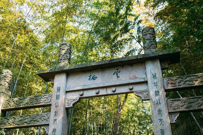 Half-Day Hangzhou Yunxi Bamboo Forest and Tea Plantation Experience - Why private transport matters in a four-hour schedule