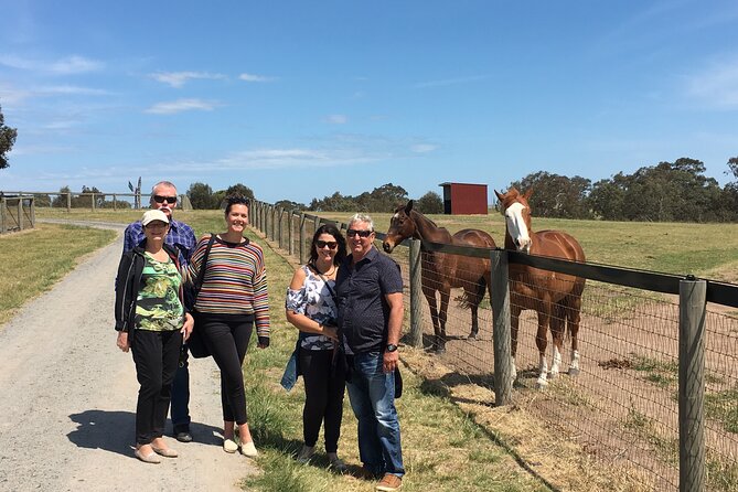 Half Day Living Legends tour with Devonshire Tea - Meeting Melbourne’s retired racing champions