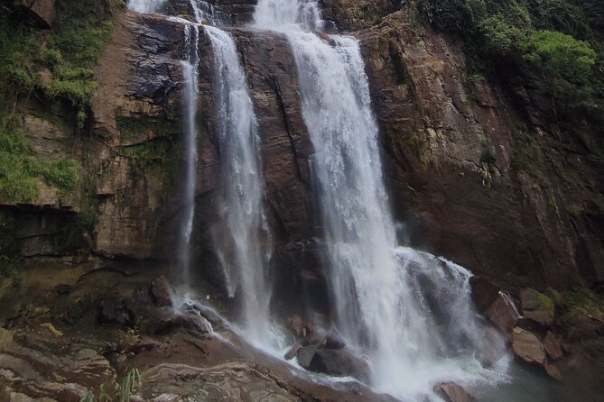 Half-Day Private Trip to Waterfalls and Tea Factory - Tea country first: Damro Labookellie and its plantation views