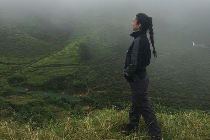 Half-Day Private Trip to Waterfalls and Tea Factory - Gregory Lake makes a flexible final stop