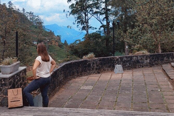 Half-Day Private Trip to Waterfalls and Tea Factory - Who should book this private half-day trip