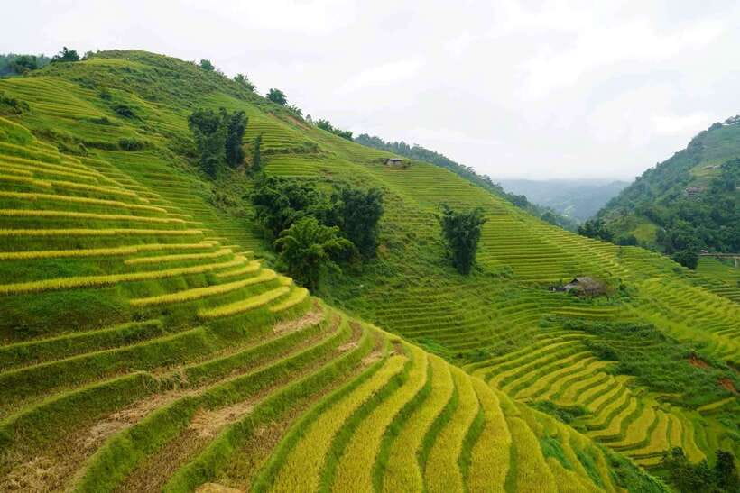 Half Day Sapa Trekking to Visit Lao Chai - Ta Van - Why this Sapa trek works so well in half a day