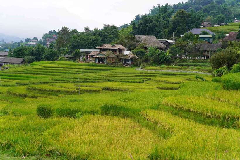 Half Day Sapa Trekking to Visit Lao Chai - Ta Van - The guides are the heart of the experience