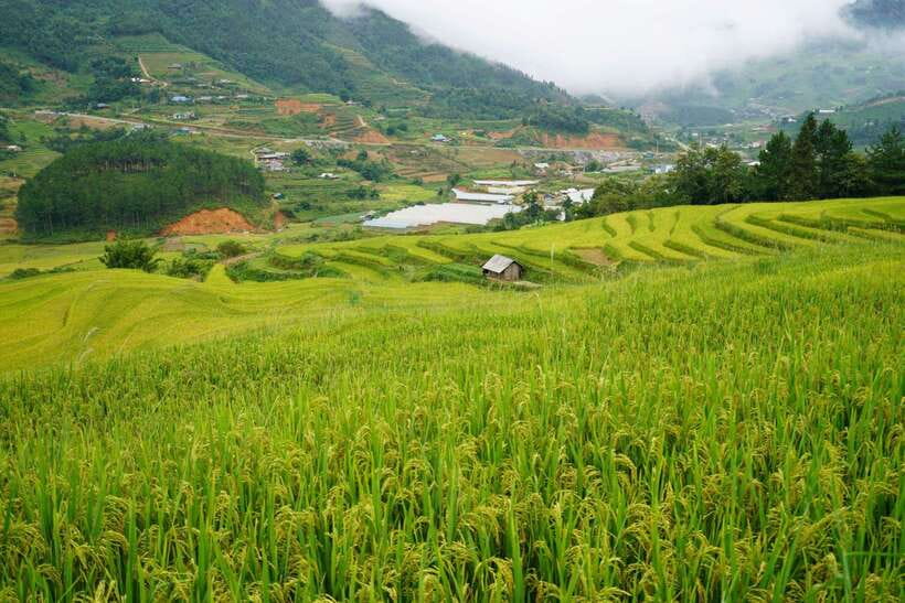 Half Day Sapa Trekking to Visit Lao Chai - Ta Van - Weather changes the whole day