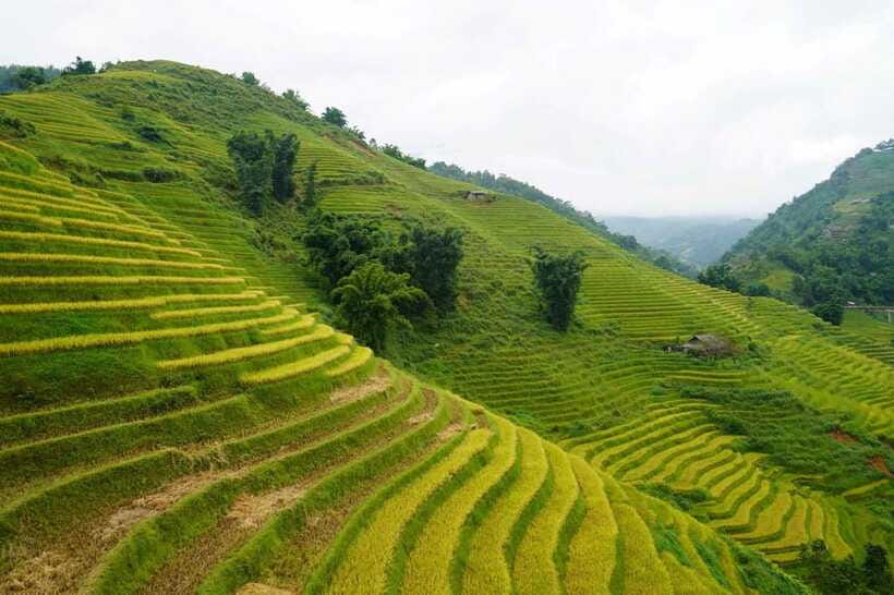 Half Day Sapa Trekking to Visit Lao Chai - Ta Van - Is the $22 price good value?