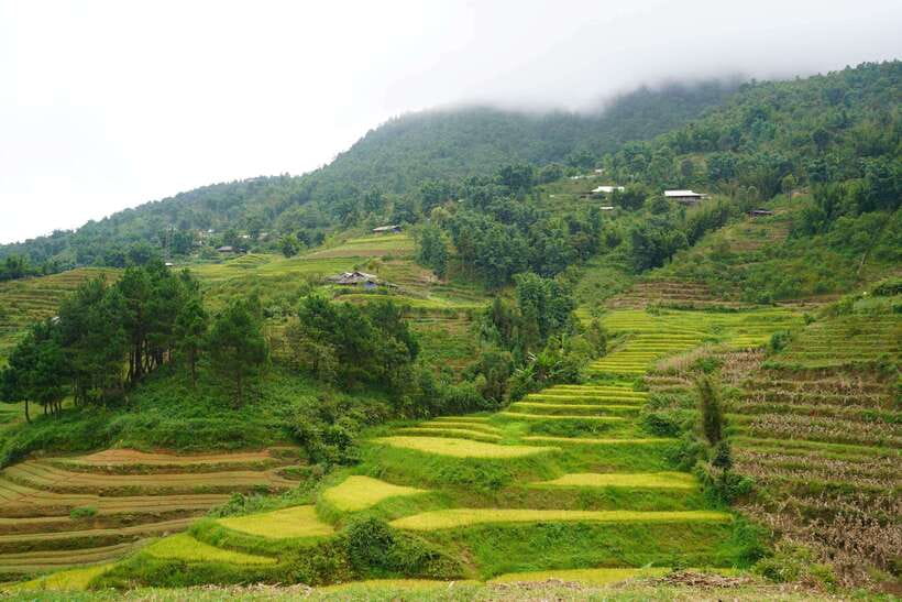 Half Day Sapa Trekking to Visit Lao Chai - Ta Van - Who should book this Sapa morning trek?