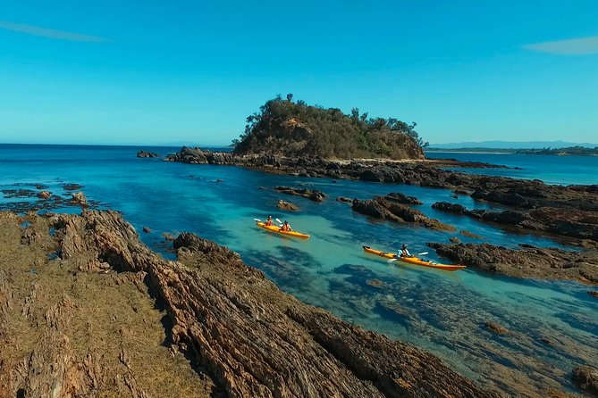 Half Day Sea Kayak Tour from Batemans Bay with Morning Tea - Key points at a glance