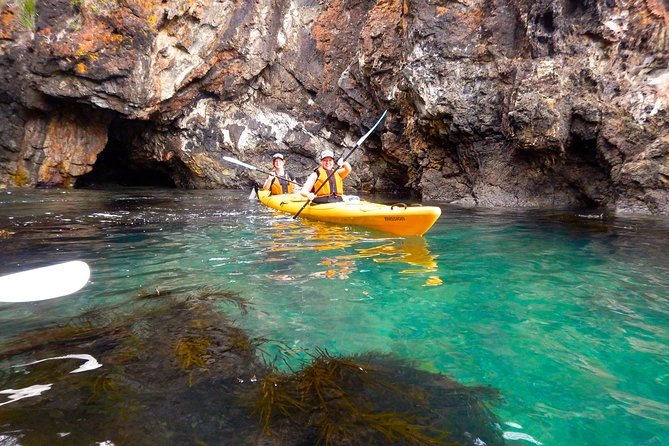 Half Day Sea Kayak Tour from Batemans Bay with Morning Tea - What to pack for the paddle