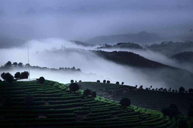 Half-day Tour: Largest Tea Plantation & Amazing Xianggong Hill - Two Yangshuo sights in one well-planned half-day