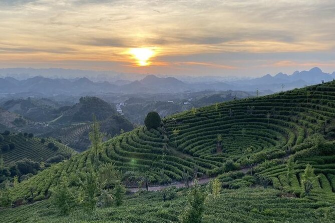 Half-day Tour: Largest Tea Plantation & Amazing Xianggong Hill - Tea making, tasting, and customs at the lodge