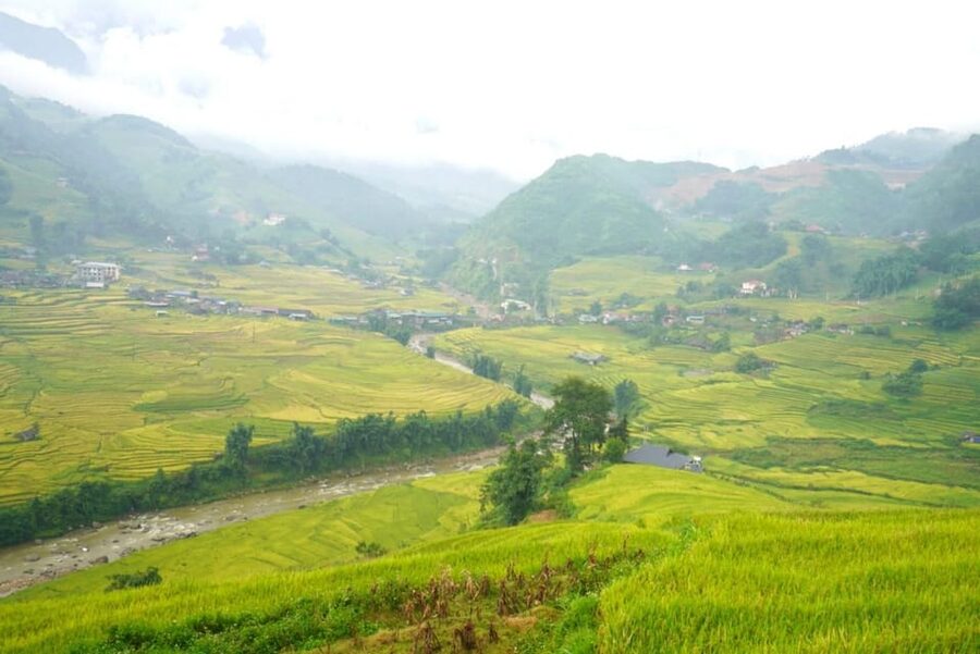 Half Day Visit Y Linh Ho,Lao Chai,Ta Van Trekking With Lunch - Key points to know before booking
