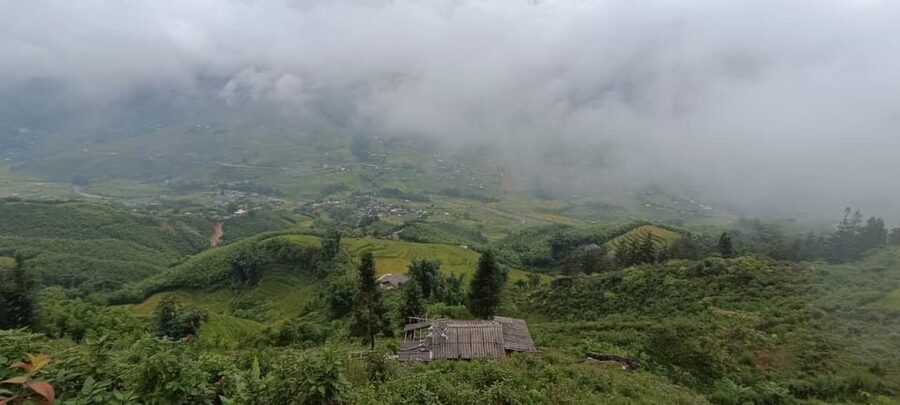 Half Day Visit Y Linh Ho,Lao Chai,Ta Van Trekking With Lunch - Value, group size, and practical limits
