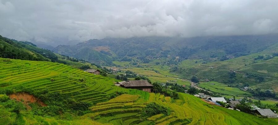 Half Day Visit Y Linh Ho,Lao Chai,Ta Van Trekking With Lunch - Y Linh Ho and the first terrace views