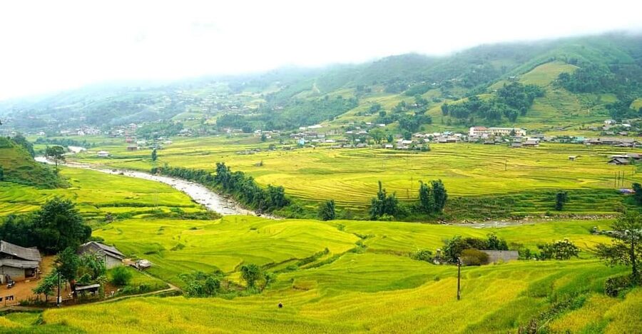 Half Day Visit Y Linh Ho,Lao Chai,Ta Van Trekking With Lunch - The return bus to Sa Pa
