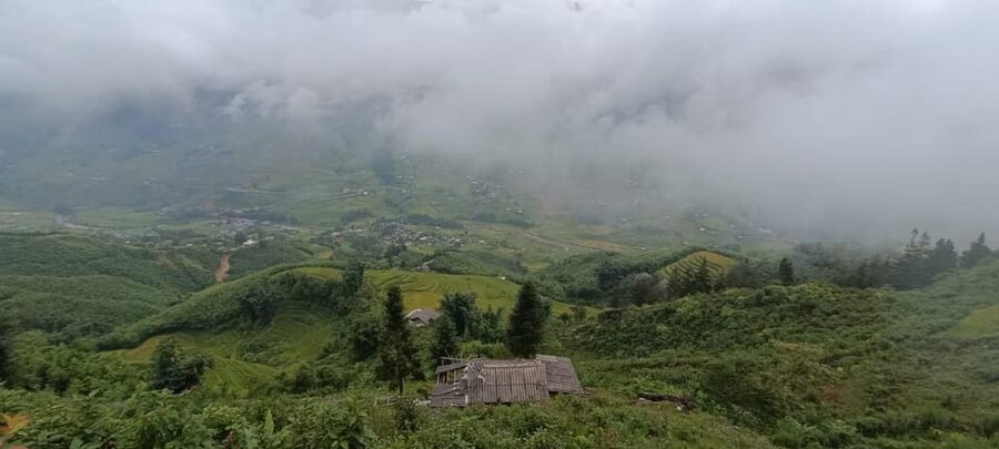 Half Day Visit Y Linh Ho,Lao Chai,Ta Van Trekking With Lunch - What the guides add