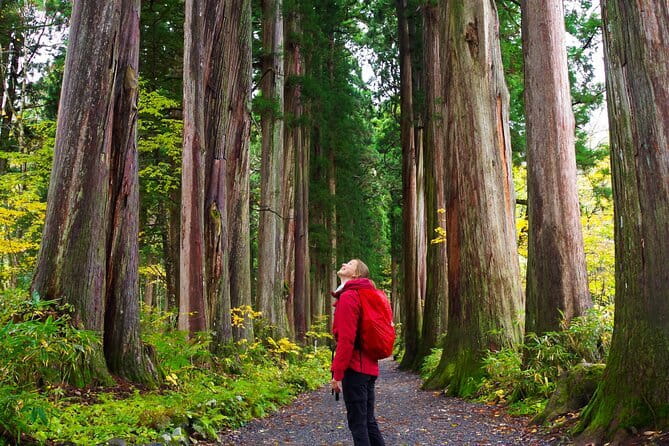 Half-Day Zenkoji Tour with Tea Experience - What the $121.50 price includes