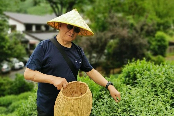 Hangzhou West Lake and Tea Plantation Half Day Tour - Why this short Hangzhou tour works