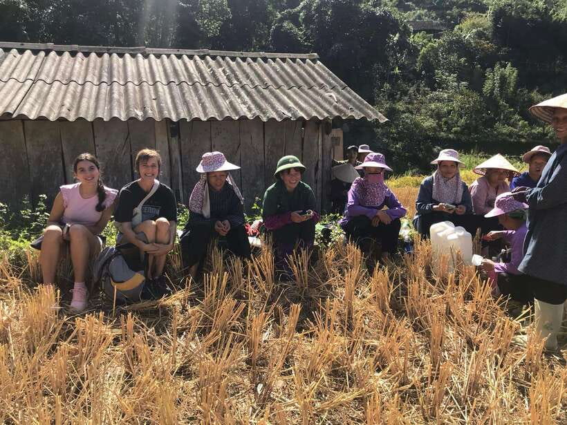 Hanoi: 3-Day Mu Cang Chai Trekking, Hidden Trail, Local Life - Key points at a glance