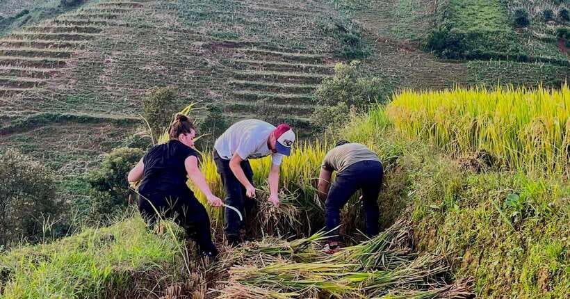 Hanoi: 3-Day Mu Cang Chai Trekking, Hidden Trail, Local Life - Homestays, meals, and what the $193 includes