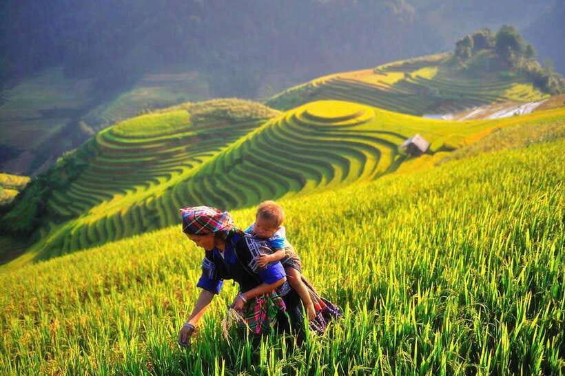 Hanoi: 3-Day Mu Cang Chai Trekking, Hidden Trail, Local Life - Booking details that matter