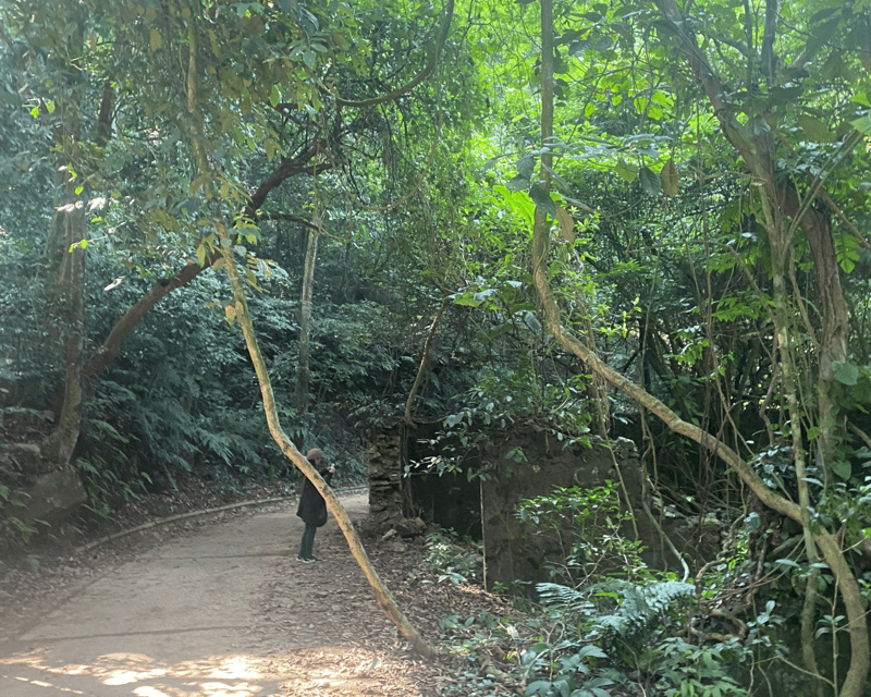 Hanoi Eco Tour: Ba Vi National Park Wonders & Tea Plantation - Key points to know before you book