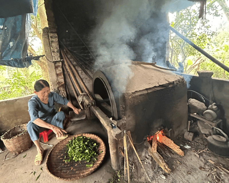 Hanoi Eco Tour: Ba Vi National Park Wonders & Tea Plantation - Should you book this $80 experience?