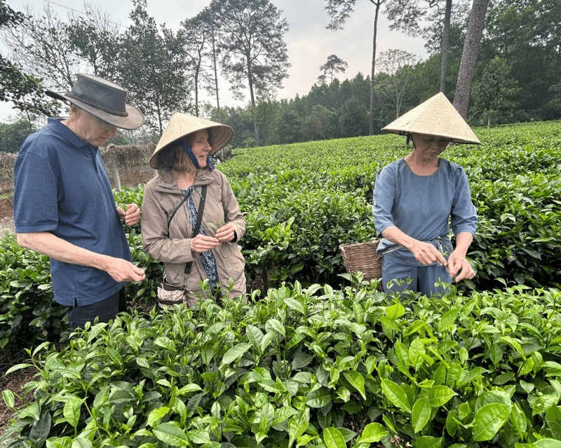 Hanoi Eco Tour: Ba Vi National Park Wonders & Tea Plantation - Climbing to Đền Thượng