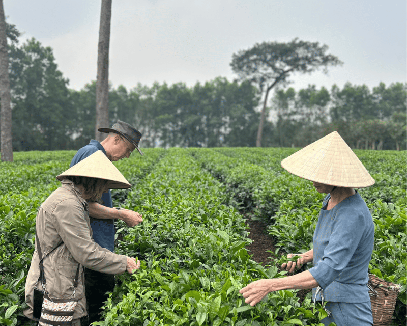 Hanoi Eco Tour: Ba Vi National Park Wonders & Tea Plantation - Walking through the French church ruins