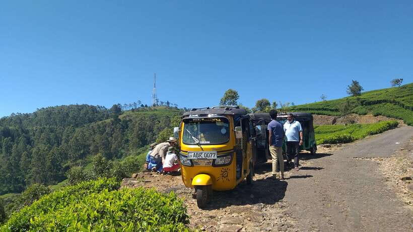 Haputale:Glorious Tuk Tuk Ride to Lipton'sSeat & Tea Factory - What the guide adds to the day