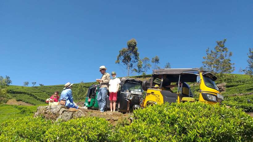 Haputale:Glorious Tuk Tuk Ride to Lipton'sSeat & Tea Factory - Is $35 good value?