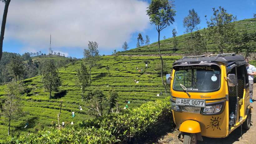 Haputale:Glorious Tuk Tuk Ride to Lipton'sSeat & Tea Factory - Practical tips for a smoother five hours