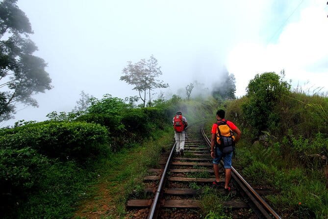Haputale Tea Estate Walking Tour From Ella - Key points to know before booking