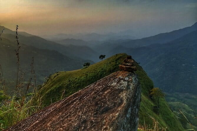 Haputale Tea Estate Walking Tour From Ella - Tea culture beyond the viewpoint