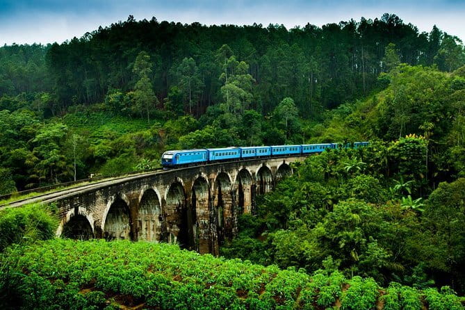 Haputale Tea Estate Walking Tour From Ella - Who will enjoy this tea estate tour?