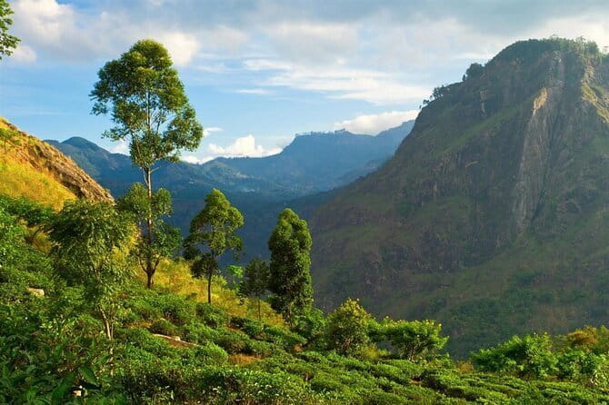 Haputale Tea Estate Walking Tour From Ella - Reaching Lipton’s Seat by foot