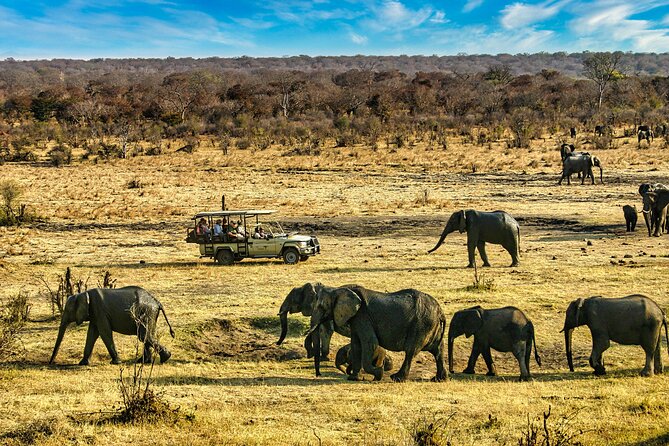 High Tea in the Savannah, Catering by Victoria Falls Hotel - Is $165 a fair price?