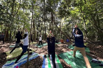 Hiroshima Local guided Hiking Tour&Open-air Tea Ceremony