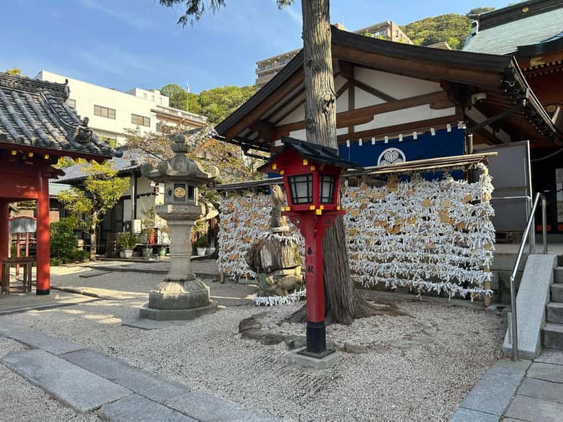 Hiroshima: Morning Hiking Tour with Open-air Tea Ceremony - Forest bathing in the Futaba woods