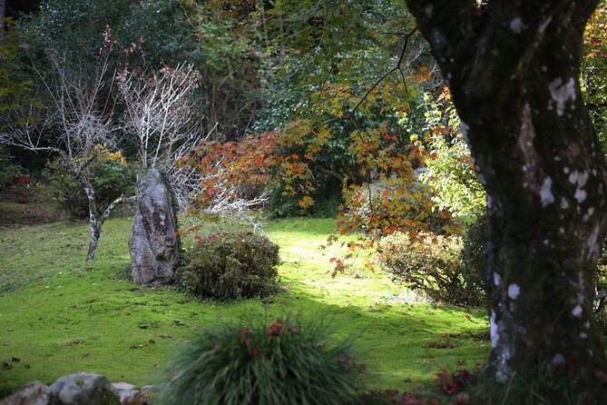 Home Experience: Tea Ceremony & Moss Garden Walk(Day trip) - Who will enjoy this day most