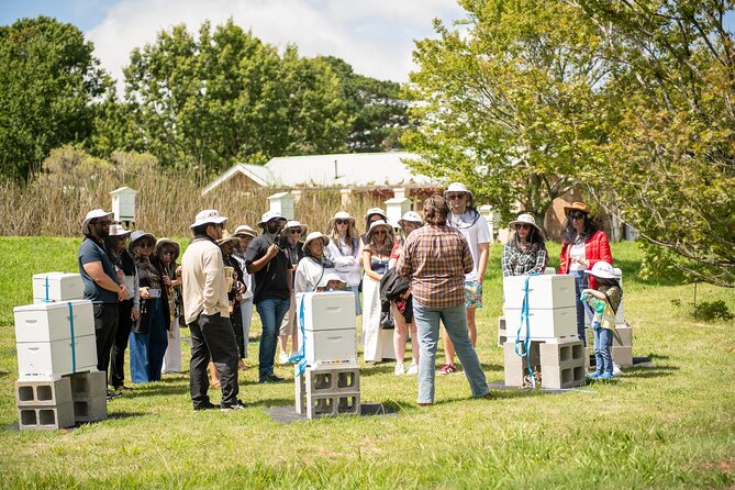 Honey Farm Tour. Morning Tea. Guided Tasting - Key things to know before booking